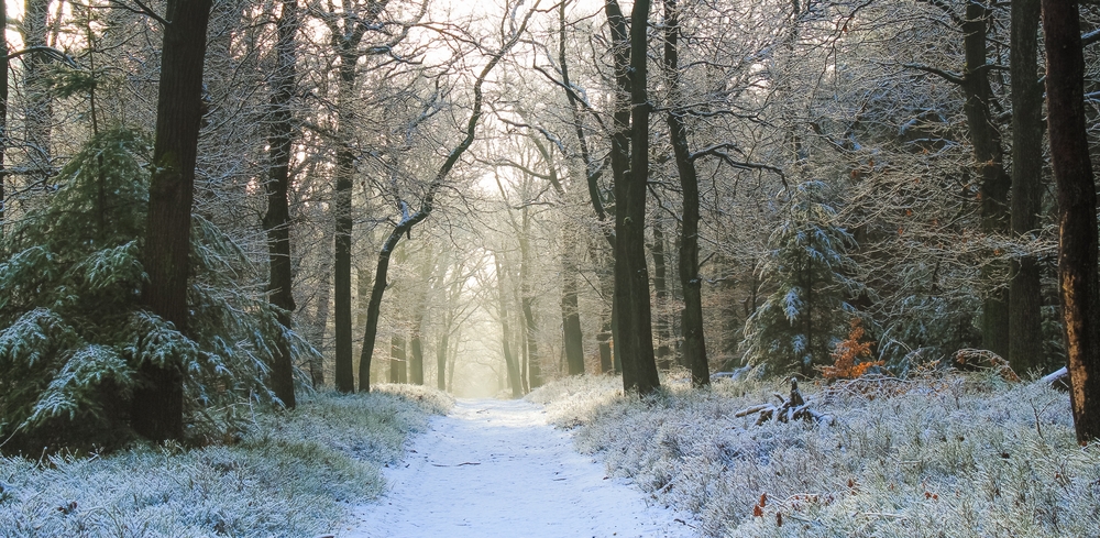 wisconsin bed and breakfast in the winter