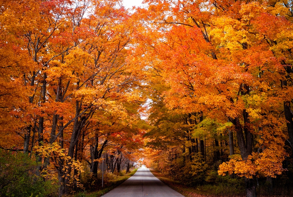 Wisconsin Fall Colors: 6 Places to Find Stunning Views