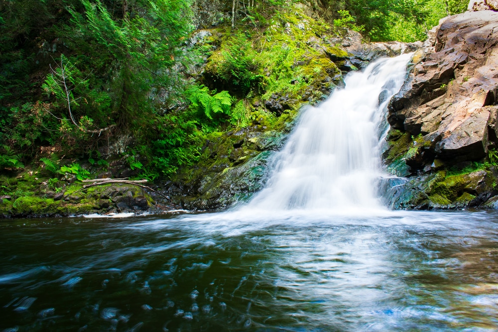 Parfrey's Glen State Natural Area