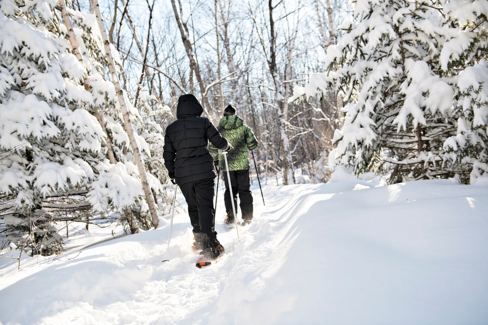 Parfrey's Glen is a great place for winter recreation near our Baraboo Bed and Breakfast