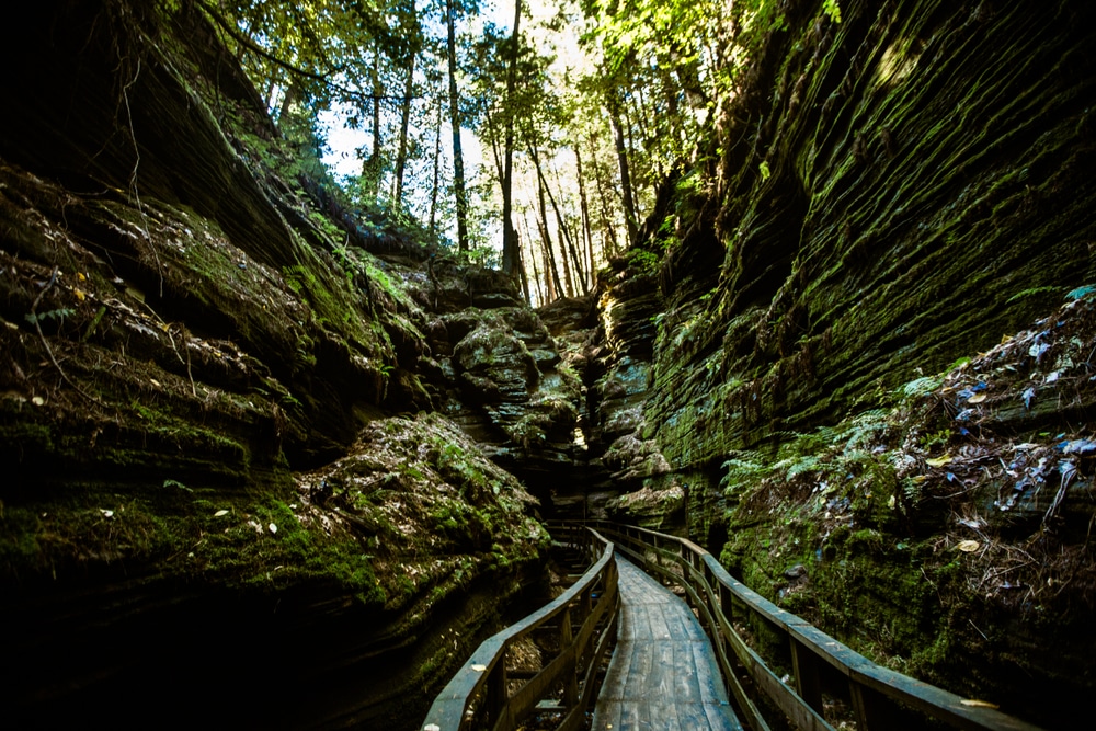 Rocky Arbor State Park and other great state Parks near the Wisconsin dells