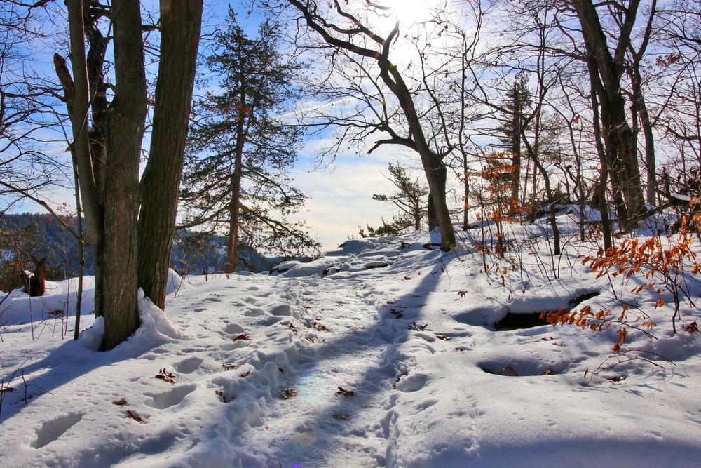 Best Wisconsin State Parks for snowshoeing