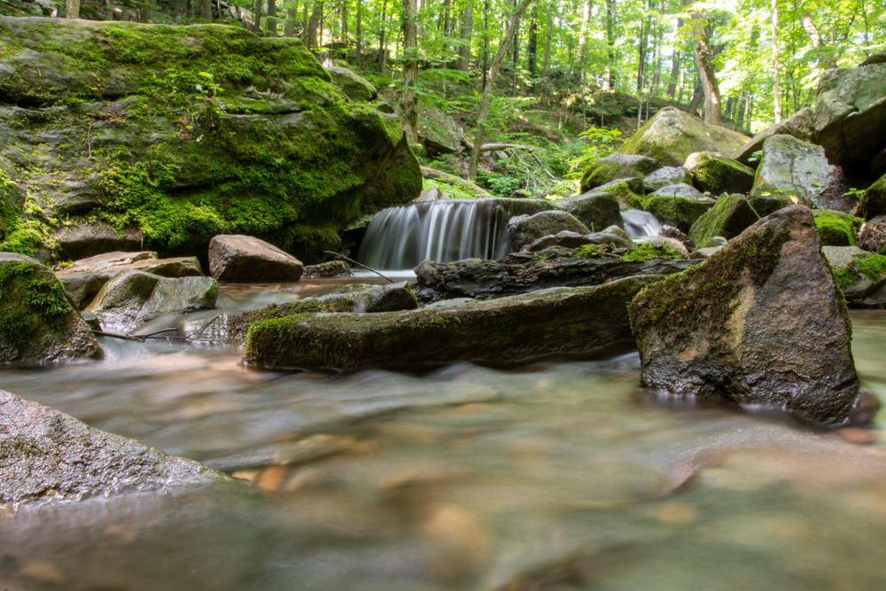 Adventure at the Best State Parks in Wisconsin 1 A stream flows through trees in Governor Dodge State Park, one of the best state parks in Wisconsin.