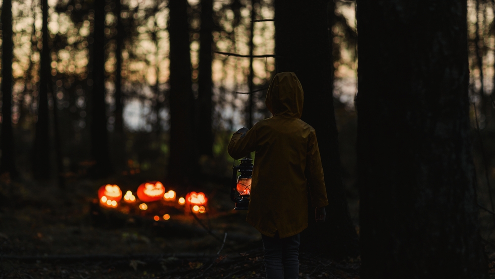 Take a torchlight halloween hike in Mirror Lake, learning about the haunted places in Wisconsin.