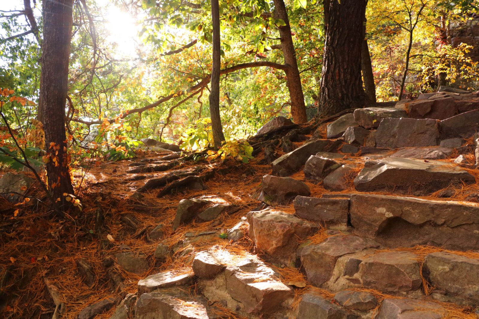 The Best Time to Visit Devils Lake State Park 1 Autumn view with ice age hiking trail and stone stairs in sunlight during sunset hours. The fall colors might make autumn the best time to visit Devils Lake State Park, Baraboo area, WI